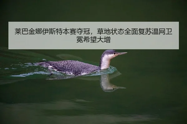 莱巴金娜伊斯特本赛夺冠，草地状态全面复苏温网卫冕希望大增